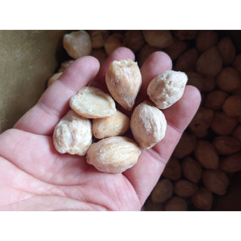 

kemiri gelondongan 250 grm