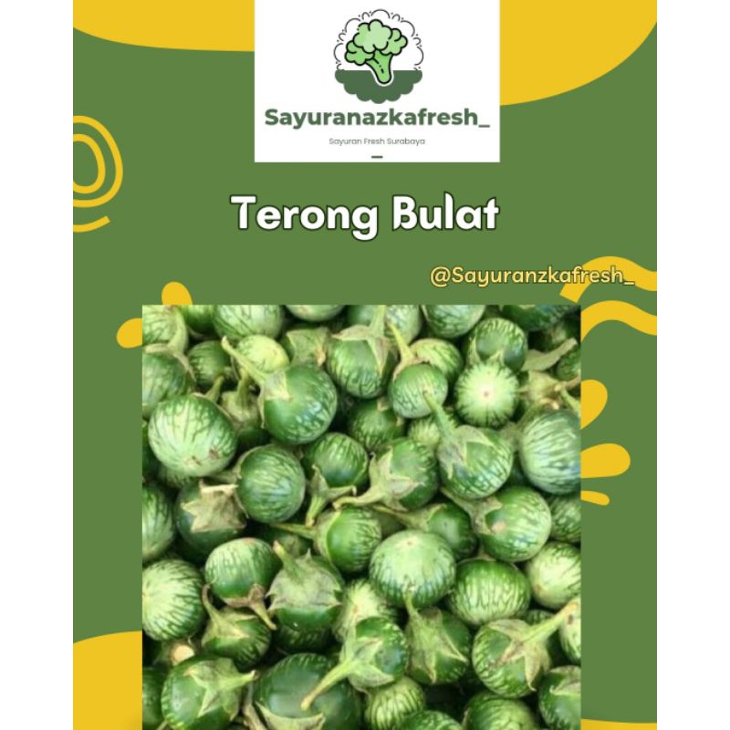 

Terong Bulat ±250gram