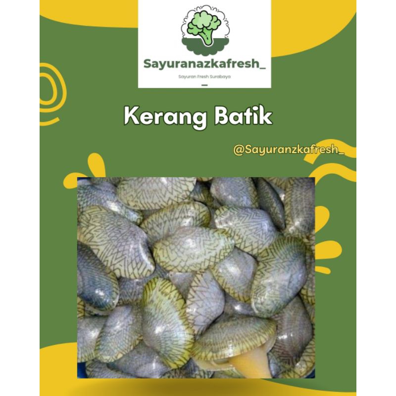 

Kerang Batik [±1Kg]