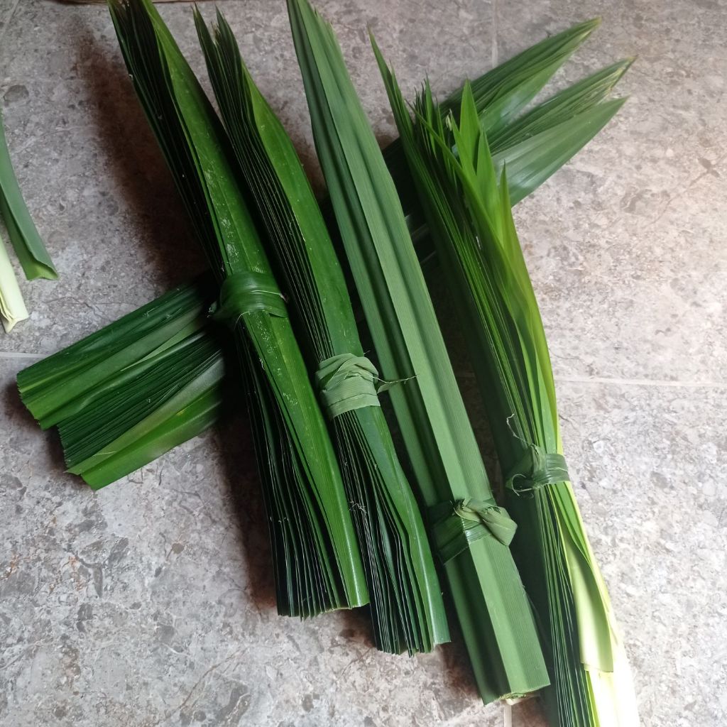 

Daun pandan wangi, untuk mengharumkan makanan