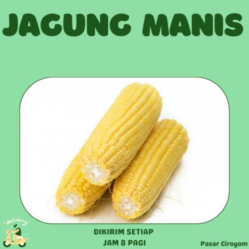 

JAGUNG MANIS 1KG SEGAR MURAH BANDUNG