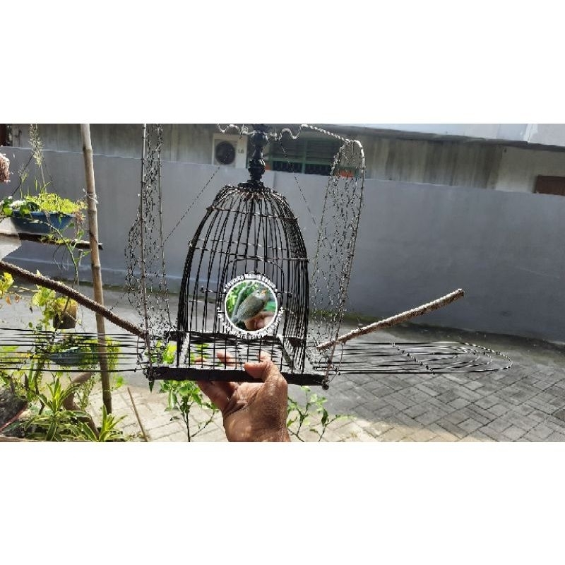 kandang jebak doble trap untuk sirtu branjangan lovebird kenari perkutut ukuran burung sedang