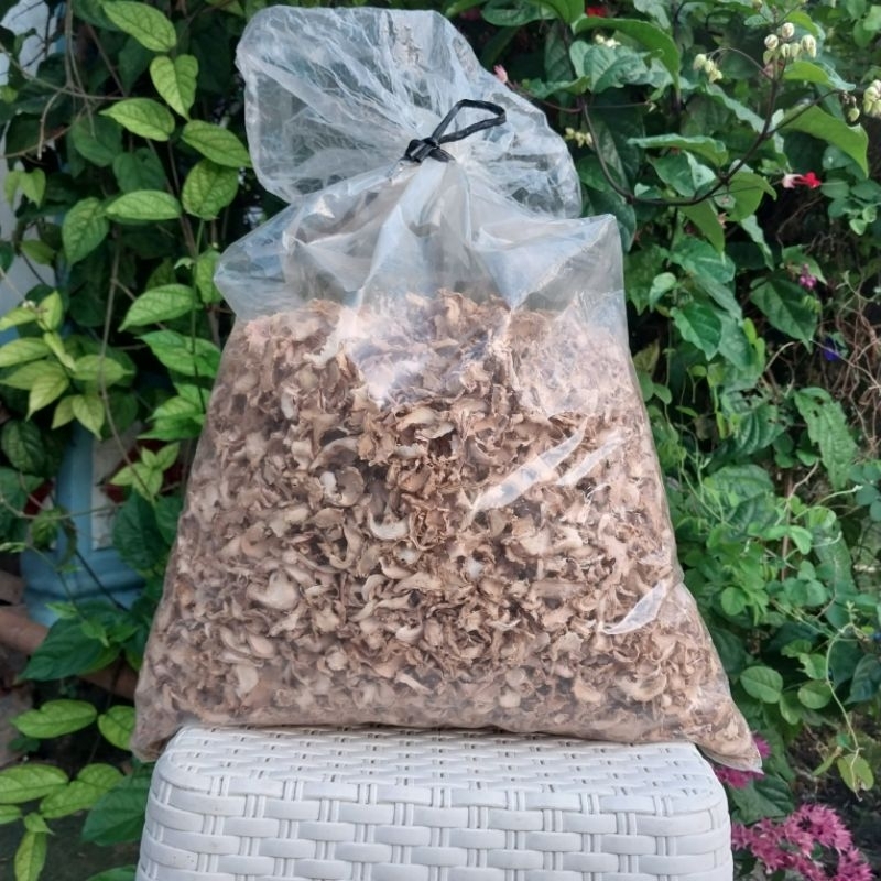 

Jahe Emprit Kering 1 Kg/Jahe Asli 100 % Tanpa Campuran/ Wedang Jahe/ Jahe Kering Tawangmangu/ Jamu Herbal/ Rempah Mengobati Batuk