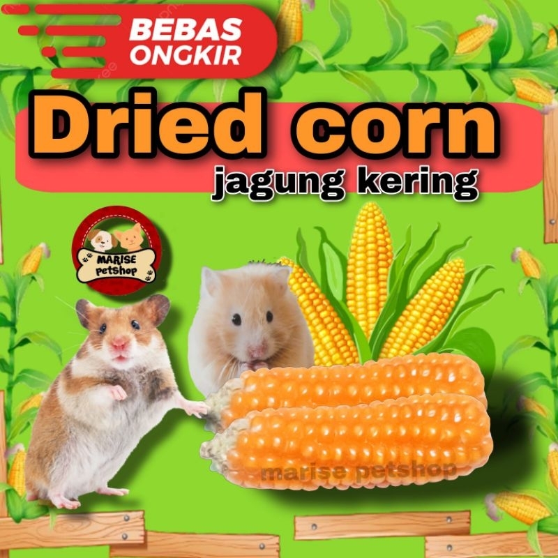 Dried corn - Jagung kering mini untuk hamster - gigitan hamster medium