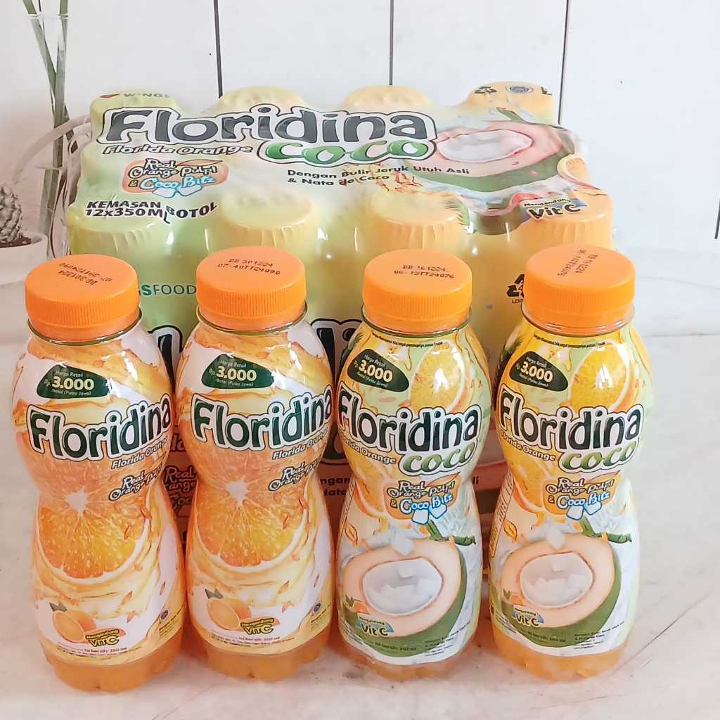 

Floridina Orange Coco Bitz 350ml Kartonan (12pcs)