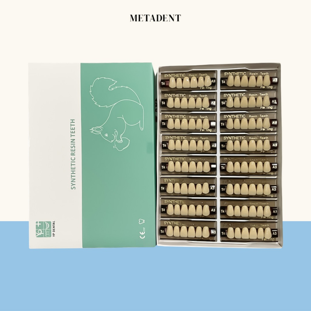 YP Dental - Gigi Sintesis/Synthetic Teeth Depan Atas-Bawah 1 Box