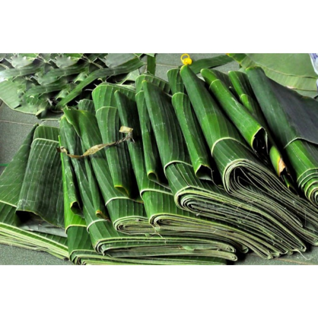 

Daun pisang - muda & tua