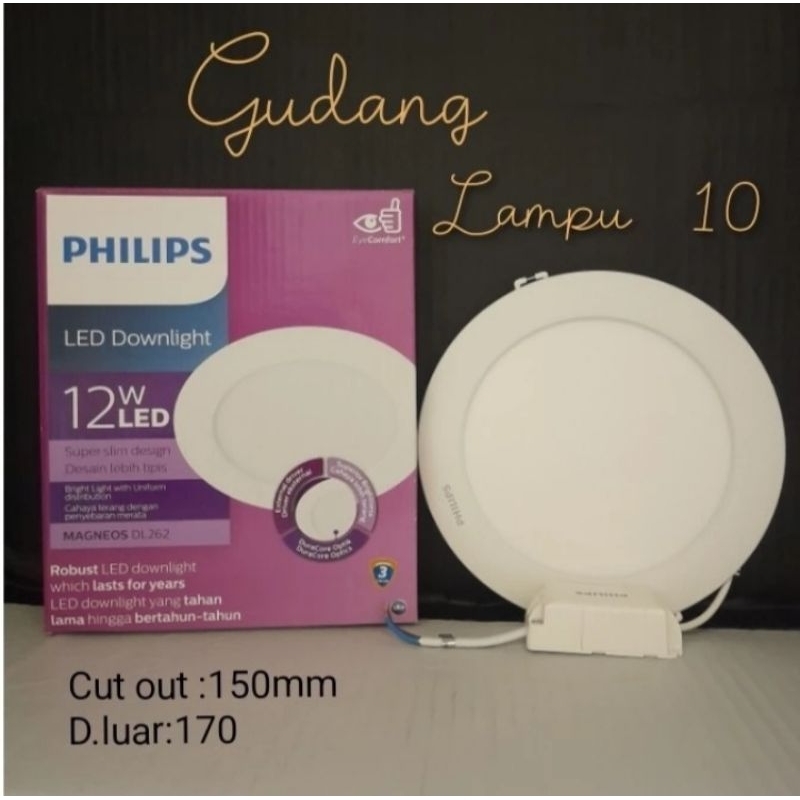 Downlight Panel 12 Watt Philips Magneos