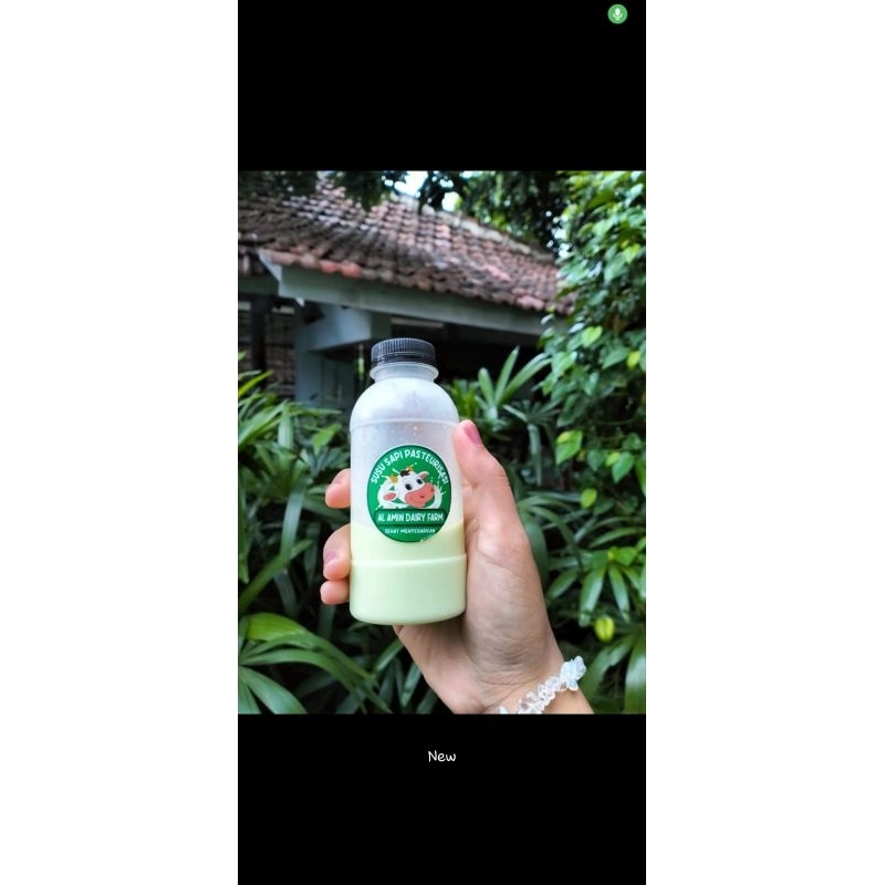 

Susu Pasteurisasi