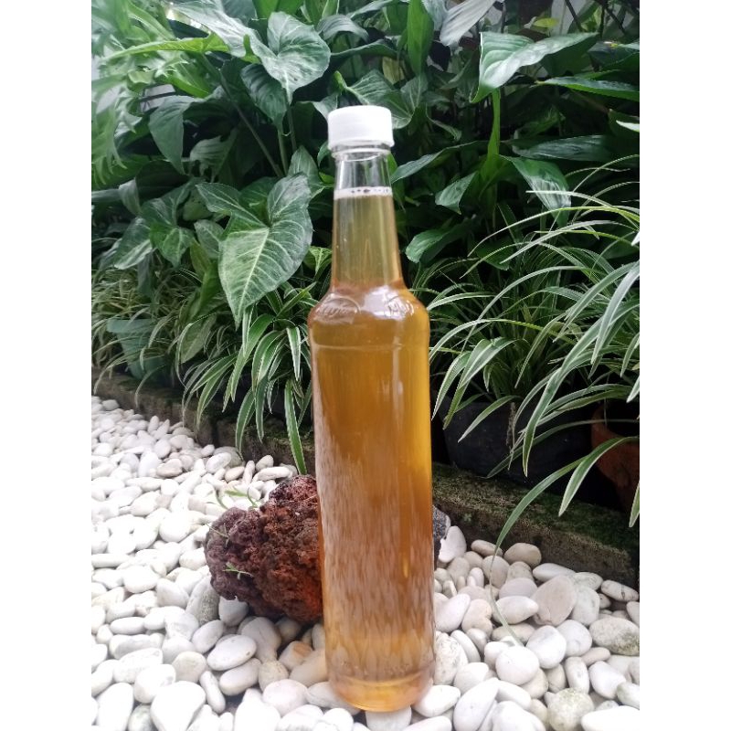 

Madu Murni botol marjan 460ml