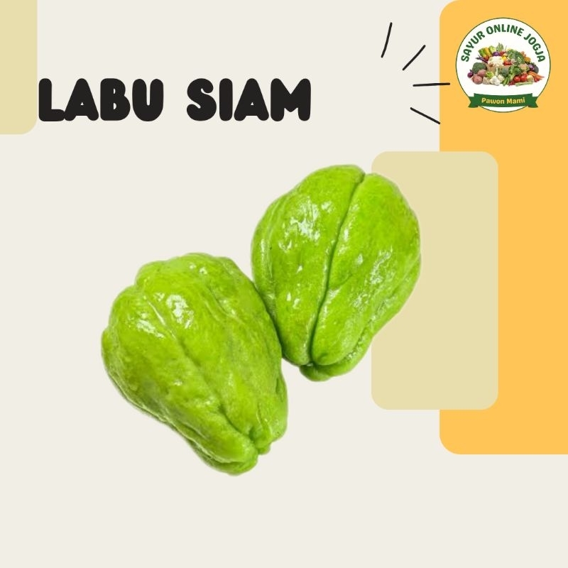 

Labu siam - PAWON MAMI SAYUR ONLINE JOGJA