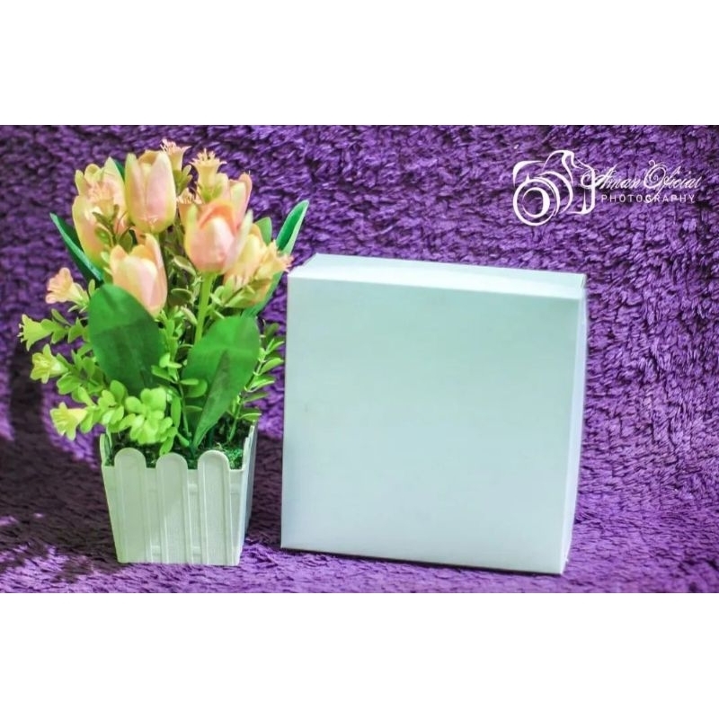 

1 PCS KOTAK NASI PUTIH POLOS UK.20 x 20