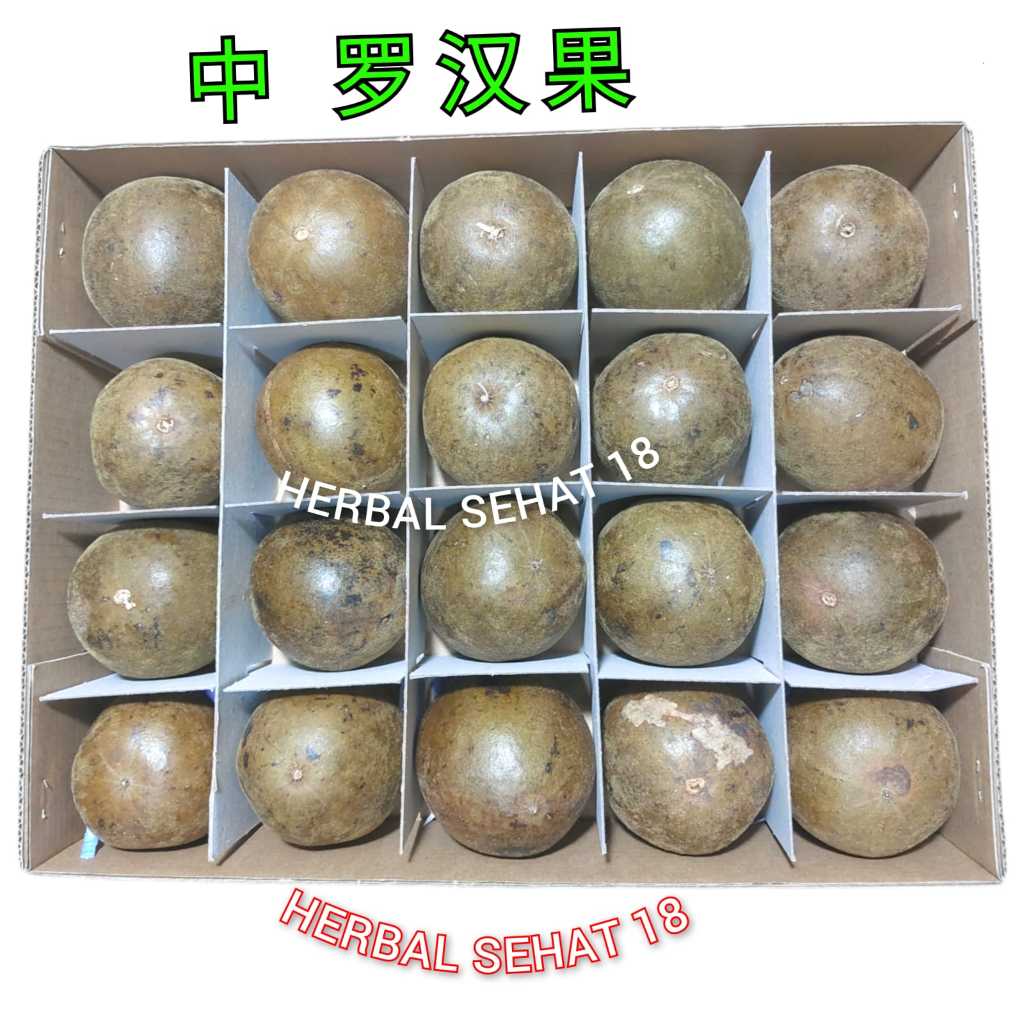 

20 Biji / Buah Lo Han Ko Luohanko Lohanko Lohankuo Lo Han Guo Lohanguo Luohanguo Luo han Guo