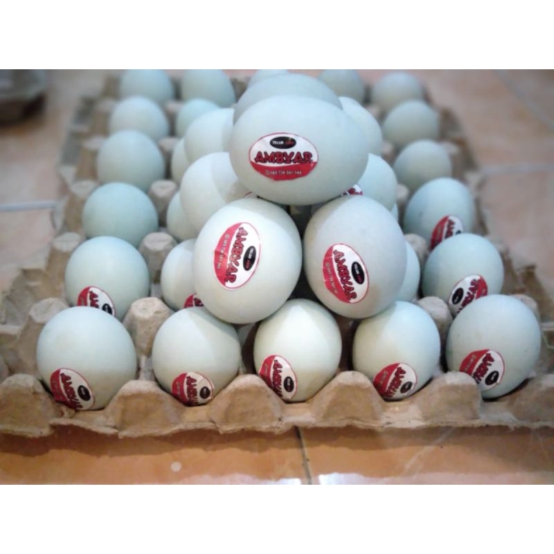 

Telur Asin Super