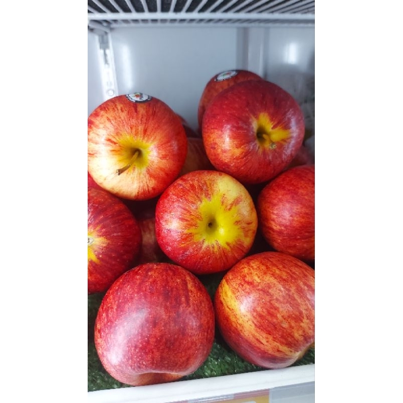 

Apel Royal Gala - 1kg |manis|renyah|buah segar