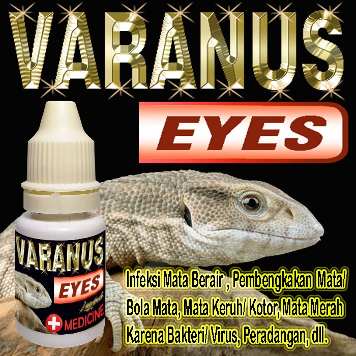 VARANUS EYES OBAT SAKIT MATA REPTIL KATARAK MATA KOTOR KERUH TERTUTUP BENGKAK MERAH BERAIR PERADANGA