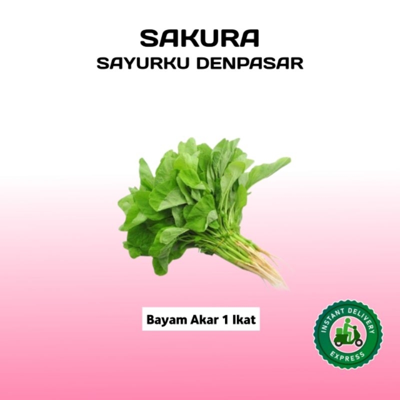 

Sayur Bayam Akar 1 Ikat - SAKURA