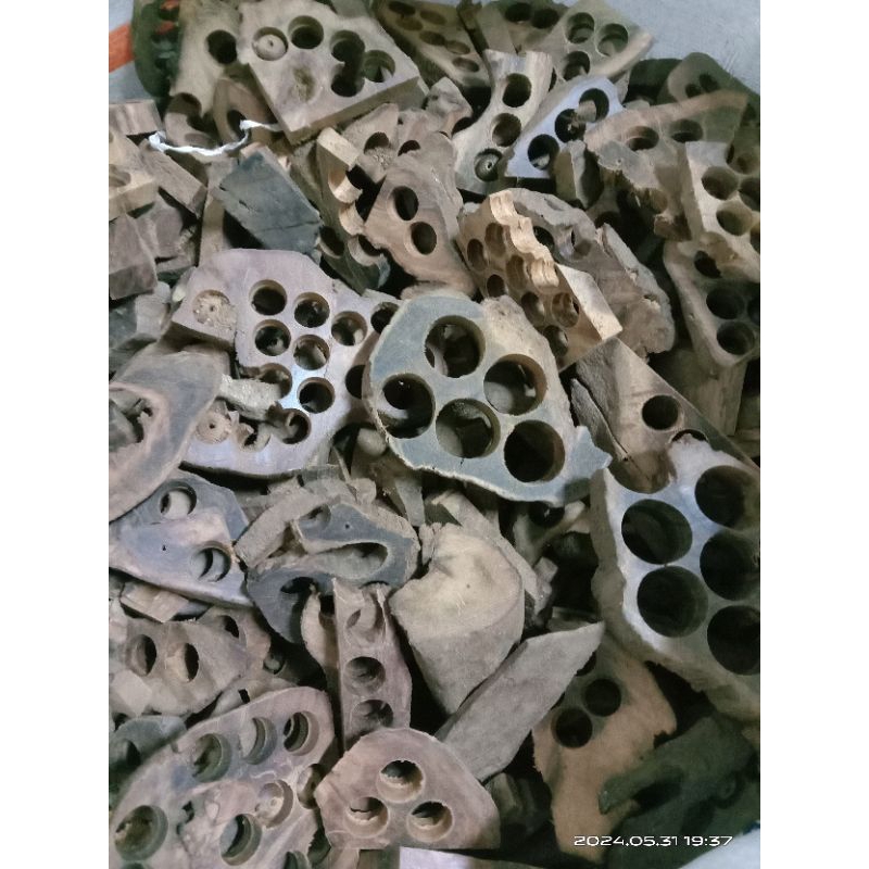 gragal kayu gaharu buaya gragal kayu gaharu wangi kemas 1 kg