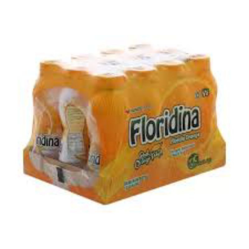 

Floridina Orange isi 12 botol @350 ml