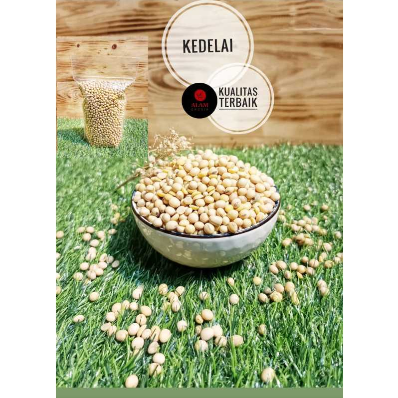 

1kg Kedelai Bola Biru Kualitas Terbaik