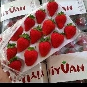 

PROMO BUAH STRAWBERRY RED IMPORT CINA GIFT PACK