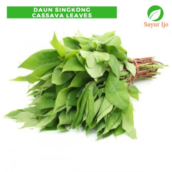 

Daun Singkong -/+ 480 - 500 Gram Per Ikat Fresh Cassava Leaves Sayur Hijau Segar