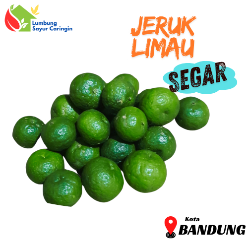 

Jeruk Limau / Jeruk Purut Segar Bandung