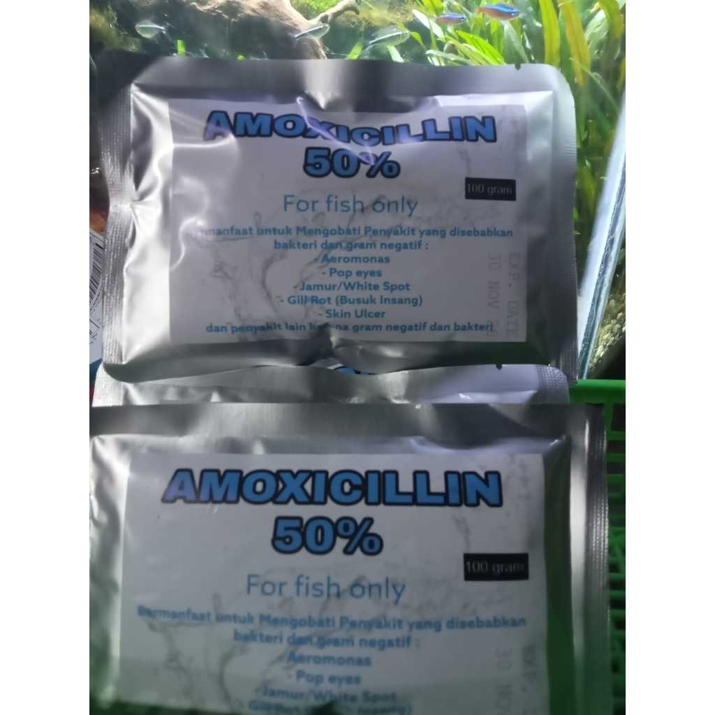 100 gram amoxillin BESAR  antibiotik ikan obat ikan 100 gram