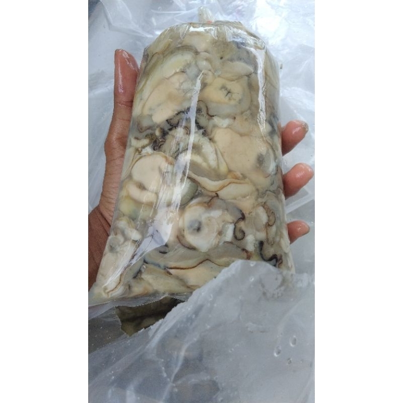 

daging Kerang tiram/oisters