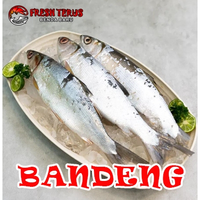 

Ikan Bandeng Utuh 950-1000 gram