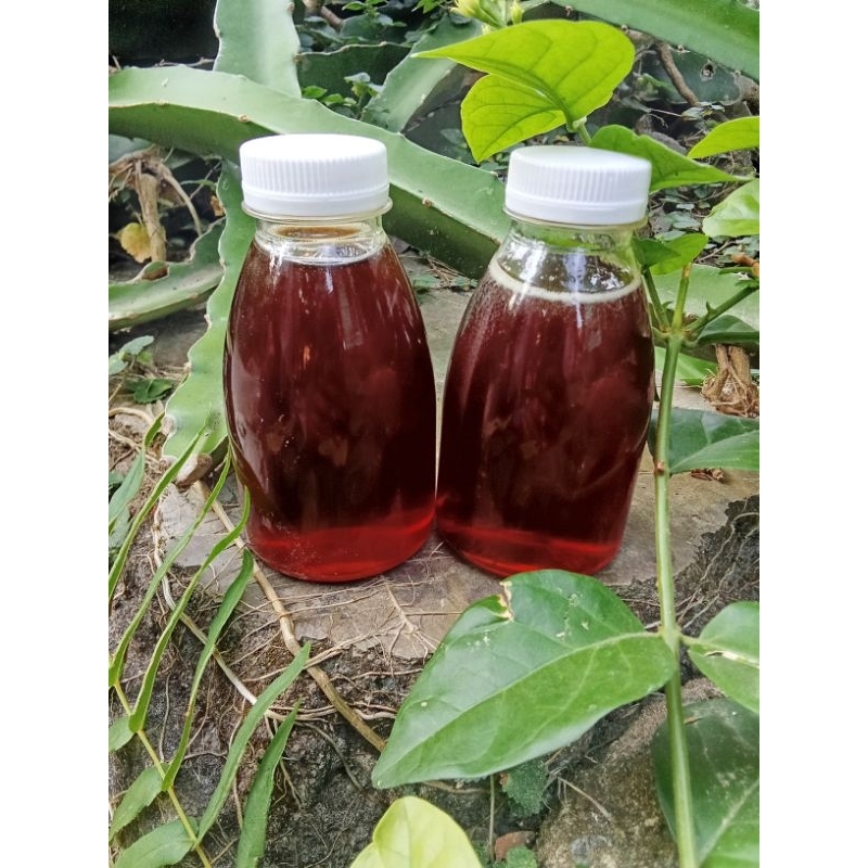 

MADU HUTAN ASLI 100% TANPA CAMPURAN