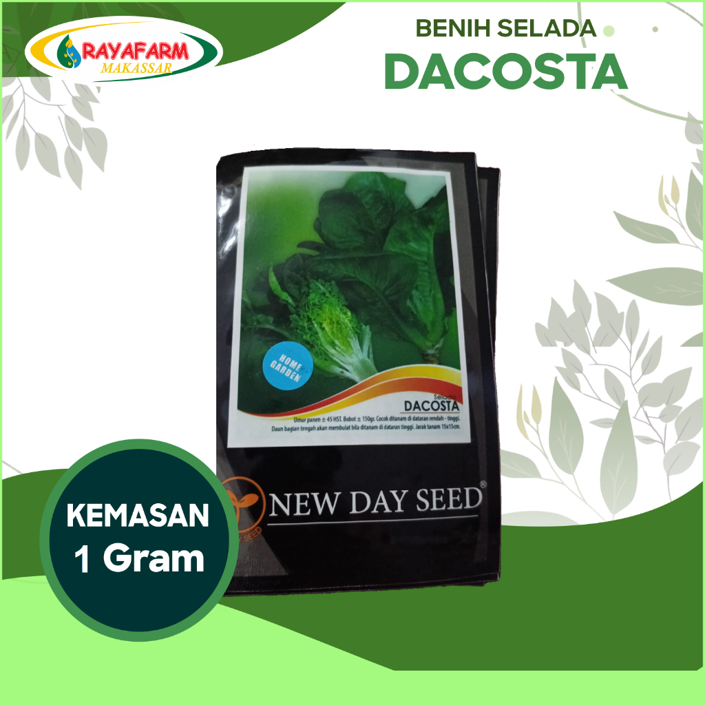 Benih Bibit Selada Romaine Dacosta 5gr - New Day Seed