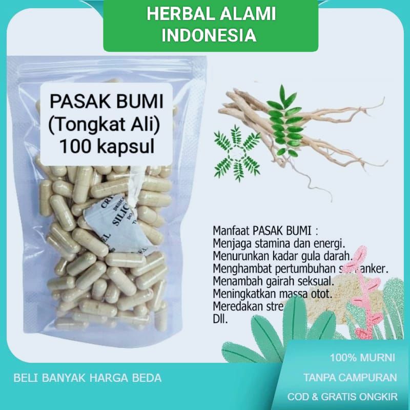 

jamu herbal pasak bumi stamina pria