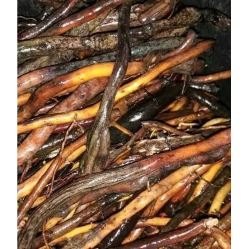 

250 gram akar aren herbal