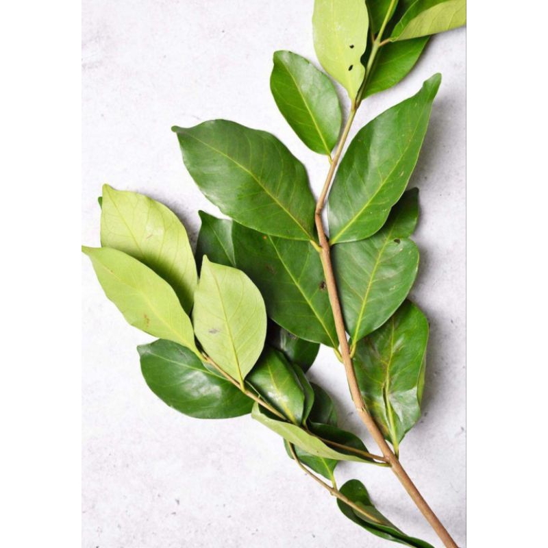 

daun salam per pack