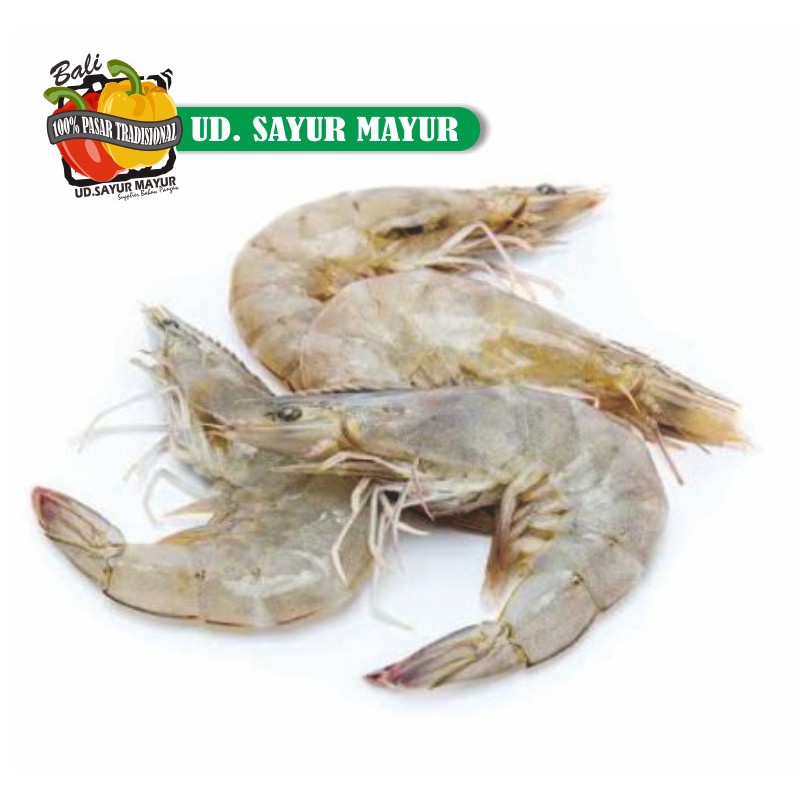 

udang size 50 - 250gram