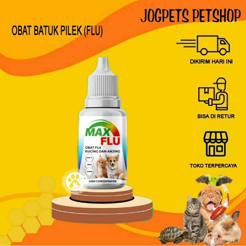Obat Flu Max Flu kucing & anjing