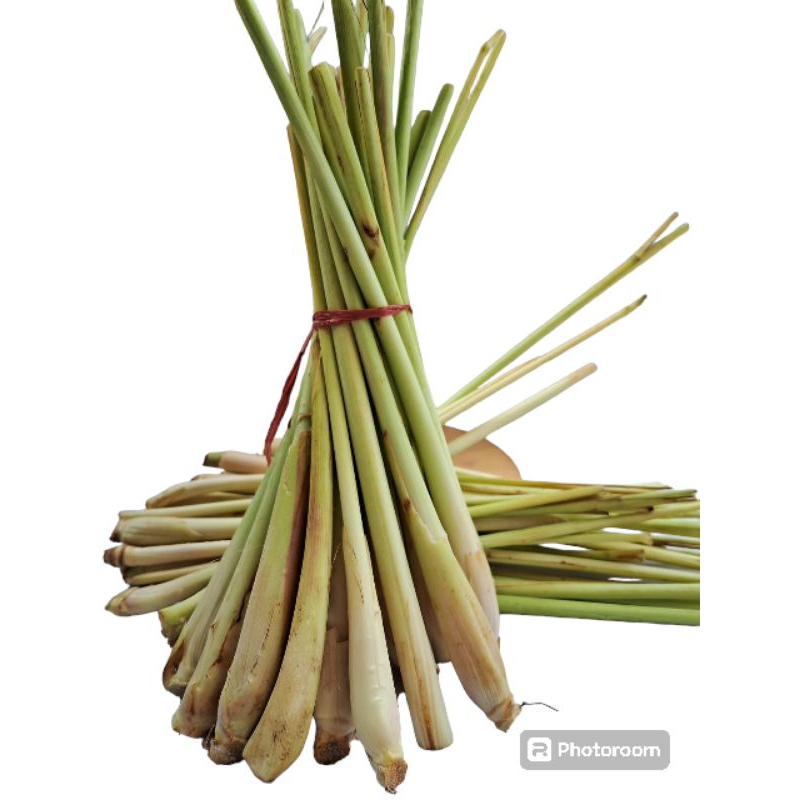 

Sereh / serai segar fresh bersih / serai wangi per ikat 150gram