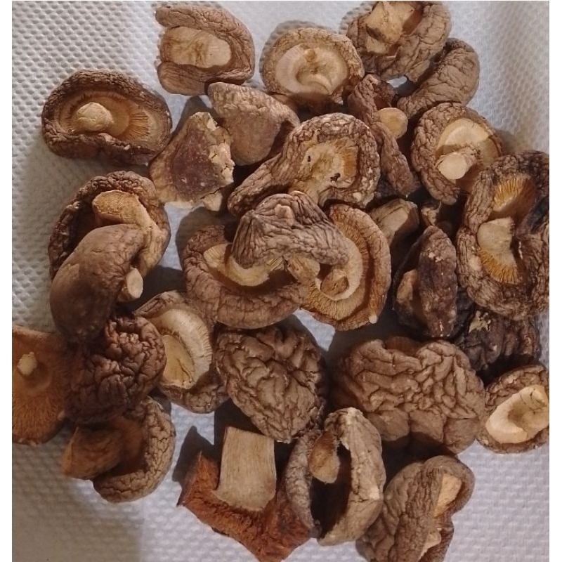 

Jamur Hio ko / Jamur Shitake 1ons