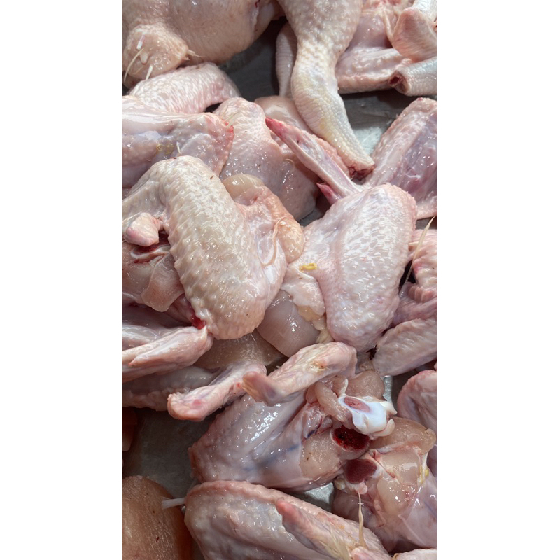 

ayam potong fresh / sayap/ paha ayam