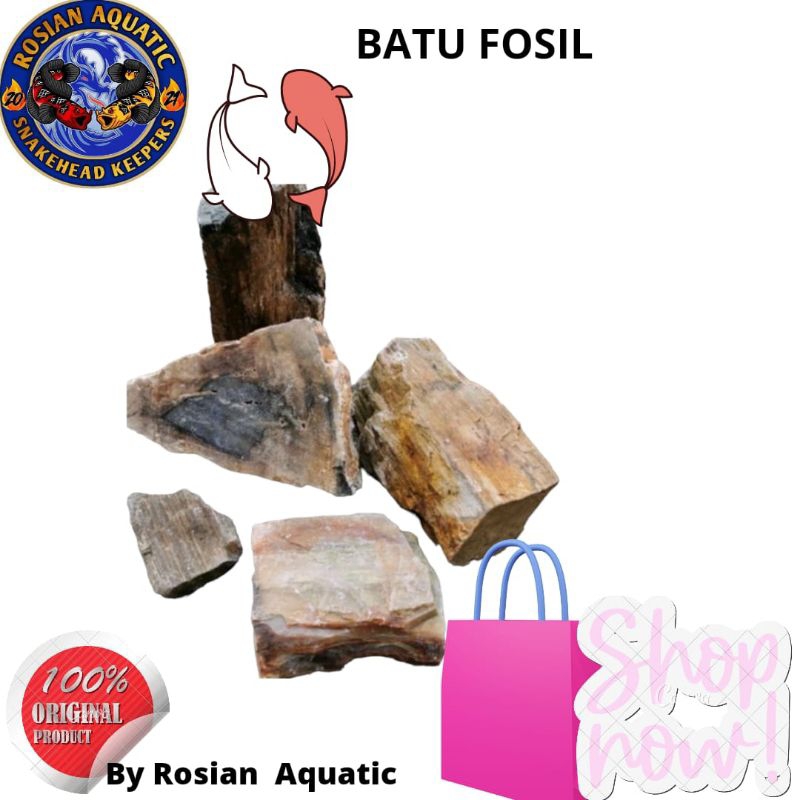 Batu serat kayu Fosil Aquascape Aquarium 1 kg