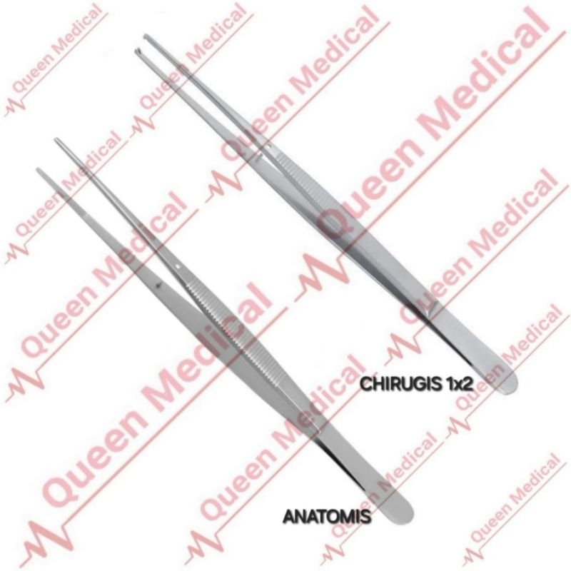 Potts Smith Forcep Anatomis/Chirugis 1x2 Teeth Premium Quality