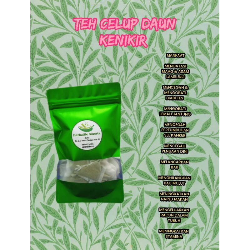 

Celup Daun Kenikir (jamu pahit)