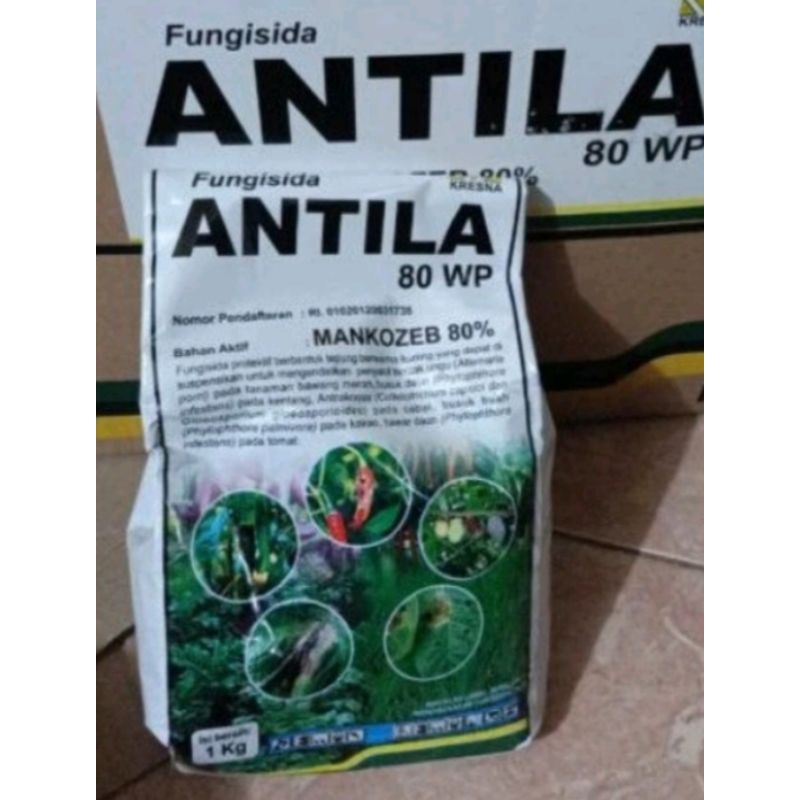 ANTILA 80WP 1kg
