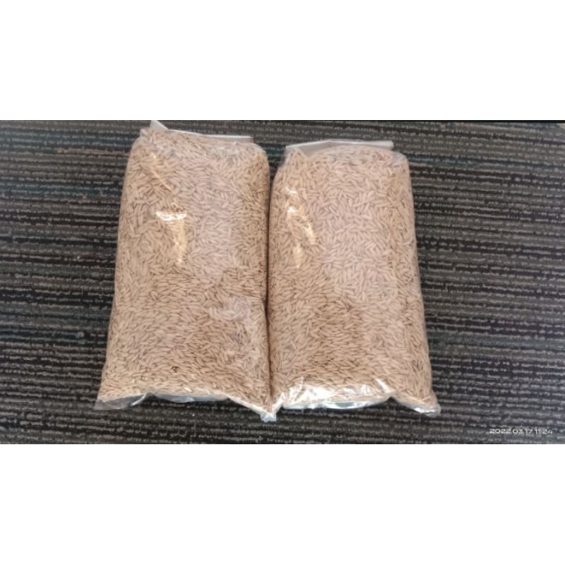 bibit padi ketan putih 1kg