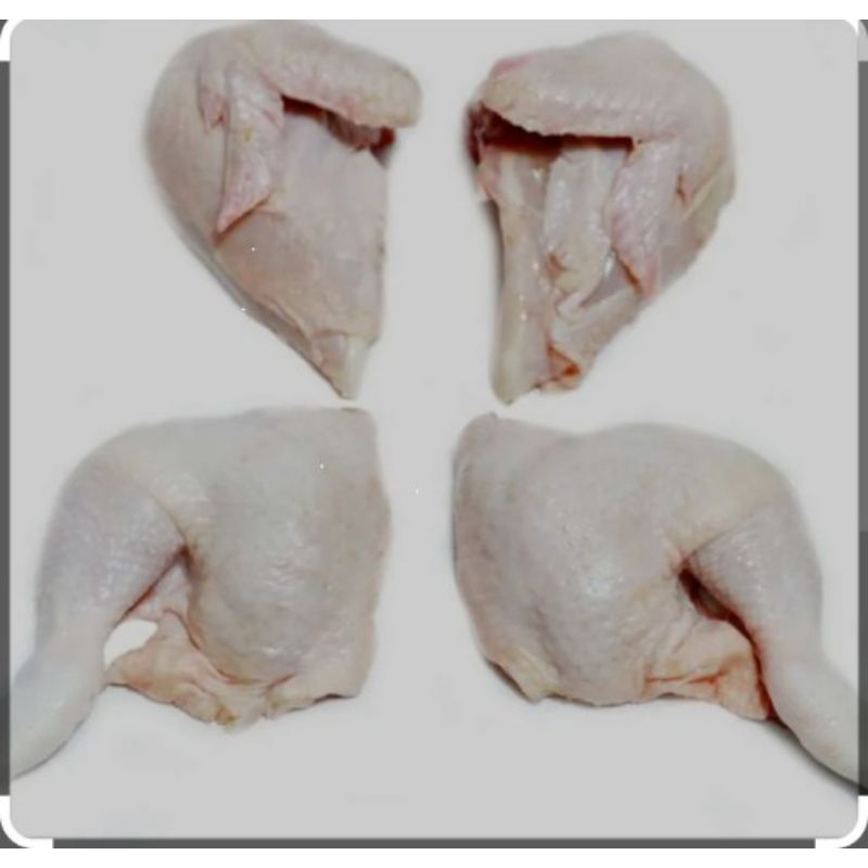 

ayam potong 4