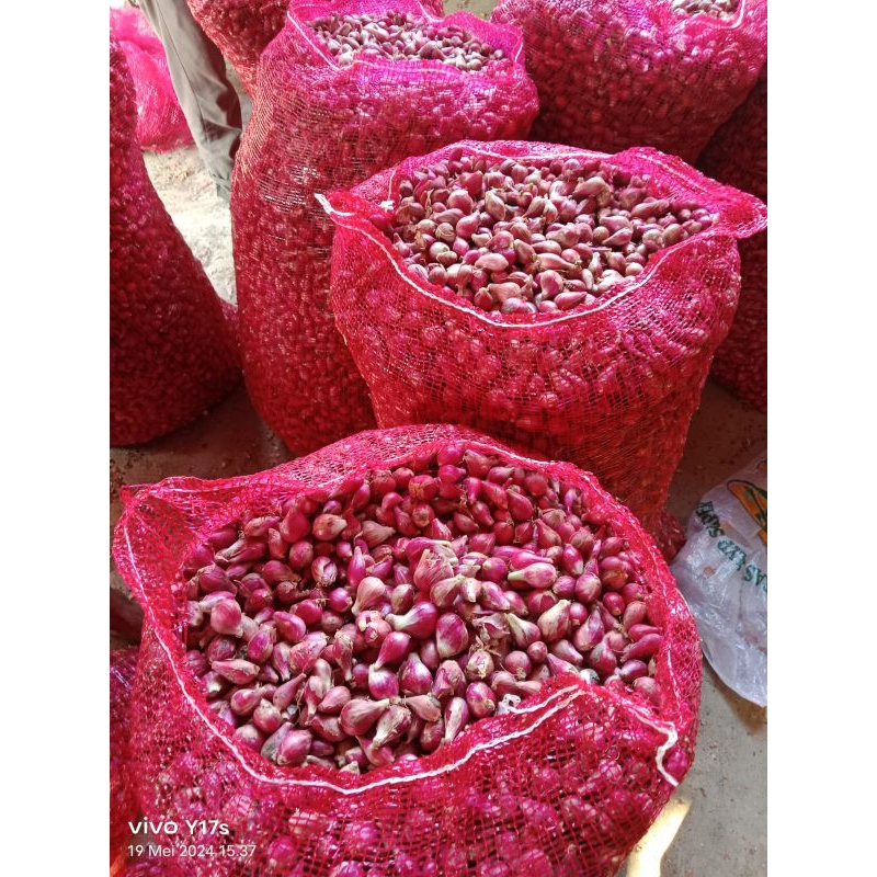 

Bawang merah besar super 500 gram