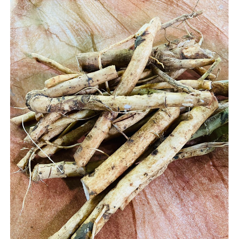 

Akar sangitan segar fresh 250 gram-az