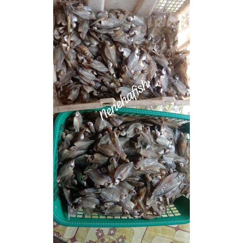 

MURAH ikan asin sepat/sapat fresh berkualitas khas kalimantan selatan(HAMBAR)