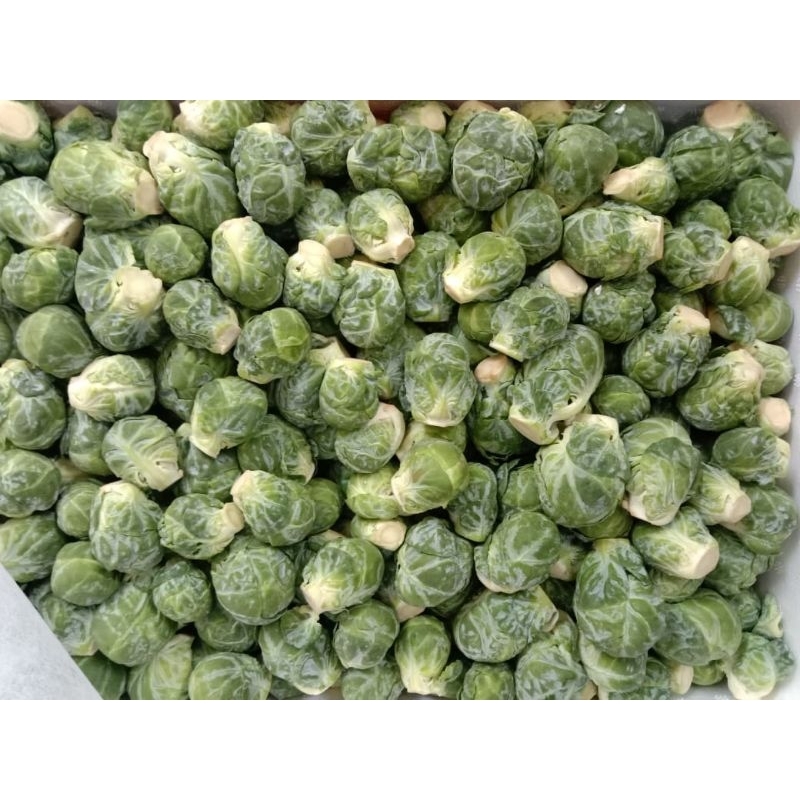 

Brussels Sprout